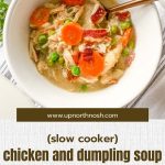 chicken and dumpling soup pin