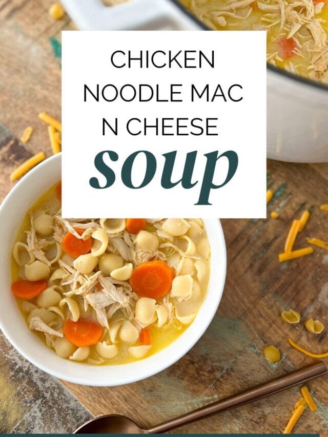 Chicken Noodle Mac n Cheese Soup