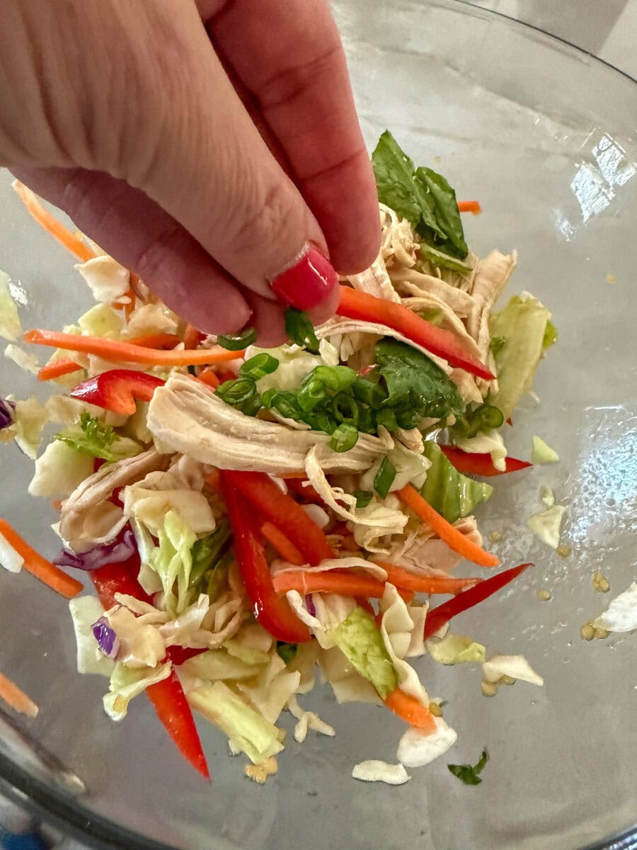 toss the chicken and veggies in the dressing in a large bowl