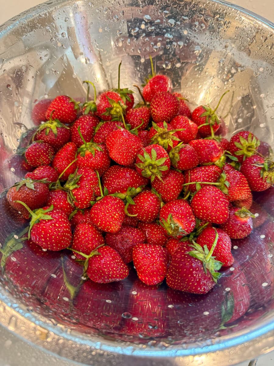 washing fresh strawberries in colander