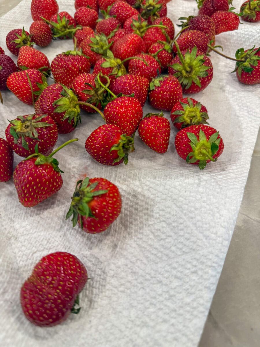 strawberries on paper towel